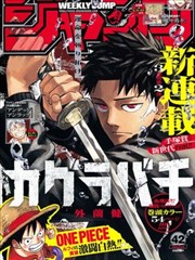 憧憬成为魔法少女漫画特别篇